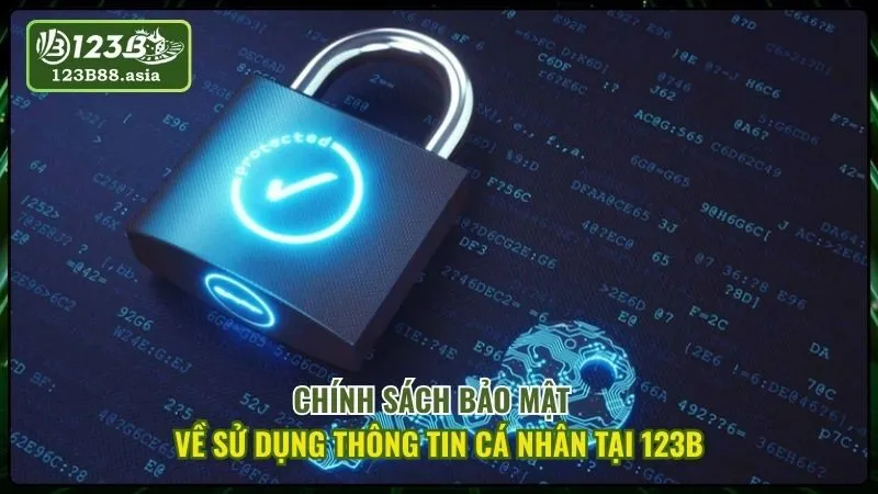 chinh-sach-bao-mat-ve-bao-mat-thong-tin-tai-123b